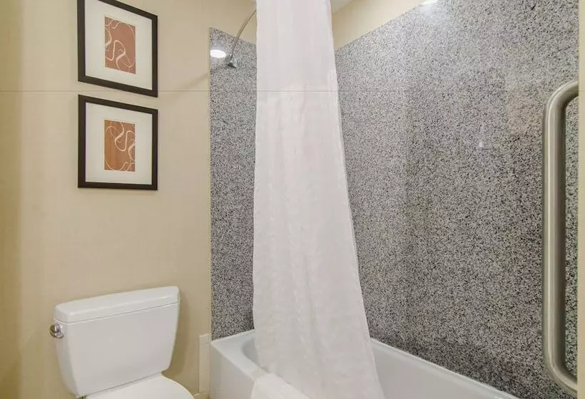 スイート, Comfort Suites Bentonville  Rogers