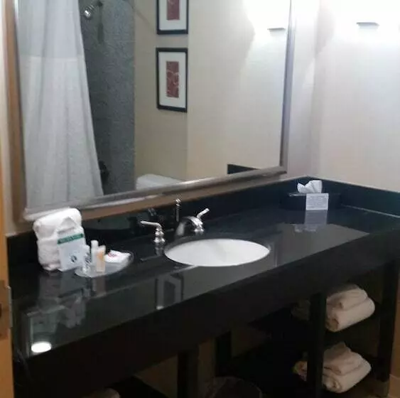 スイート, Comfort Suites Bentonville  Rogers