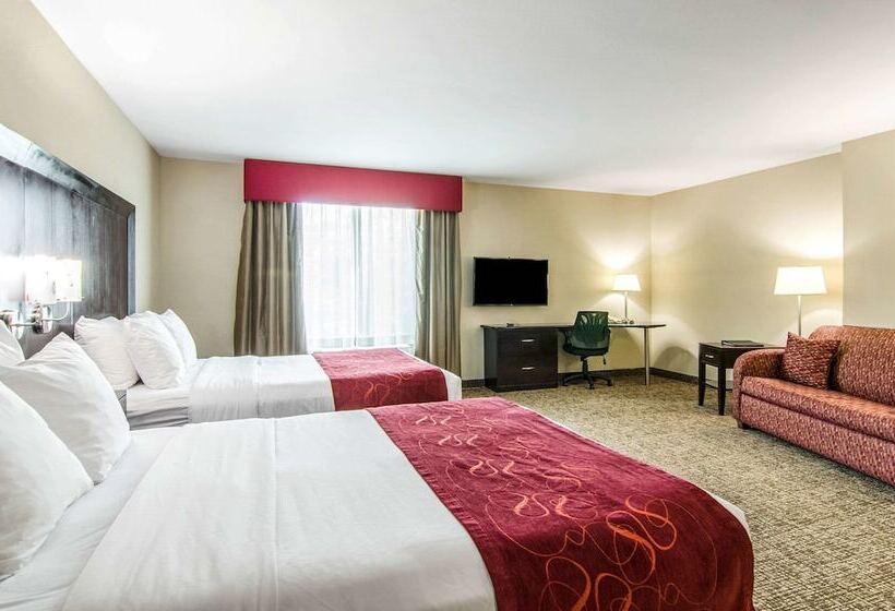 سوئیت برای معلولان, Comfort Suites Bentonville  Rogers