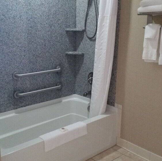 سوئیت برای معلولان, Comfort Suites Bentonville  Rogers