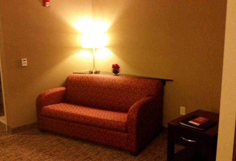 سوئیت برای معلولان, Comfort Suites Bentonville  Rogers