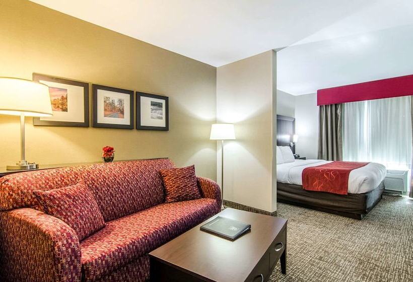 سوئیت برای معلولان, Comfort Suites Bentonville  Rogers
