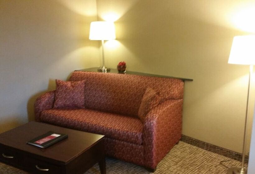 سوییت, Comfort Suites Bentonville  Rogers