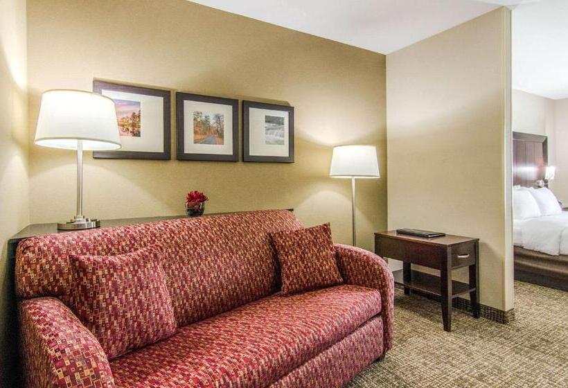 سوئیت برای معلولان, Comfort Suites Bentonville  Rogers