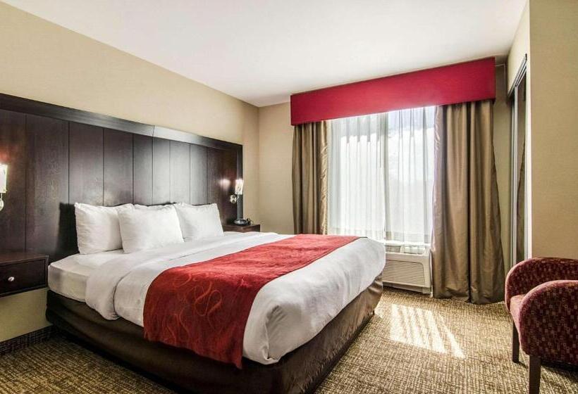 Люкс Адаптированный для Инвалидов, Comfort Suites Bentonville  Rogers