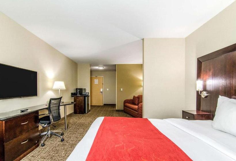 سوئیت برای معلولان, Comfort Suites Bentonville  Rogers
