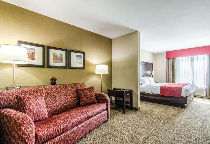 سوئیت برای معلولان, Comfort Suites Bentonville  Rogers