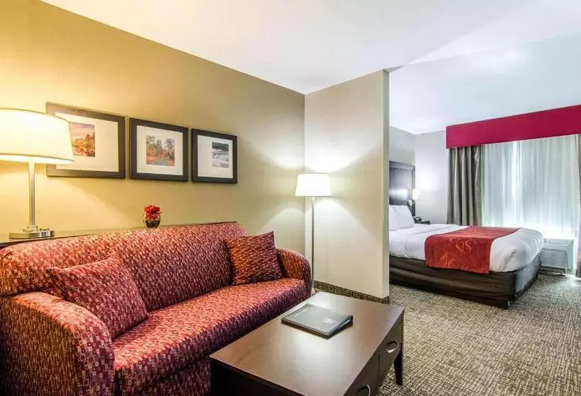 キングサイズベッドのスイートルーム, Comfort Suites Bentonville  Rogers