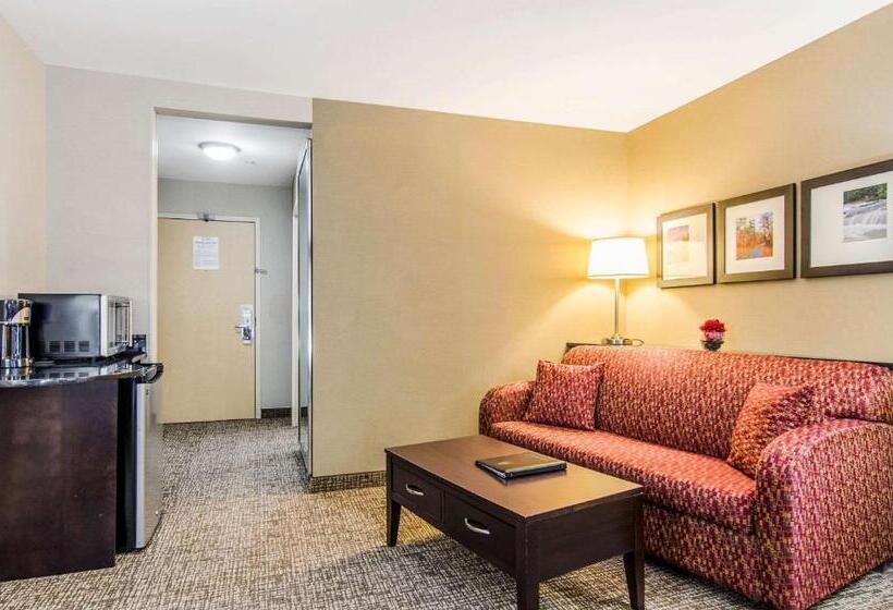 سوئیت با تخت بزرگ, Comfort Suites Bentonville  Rogers