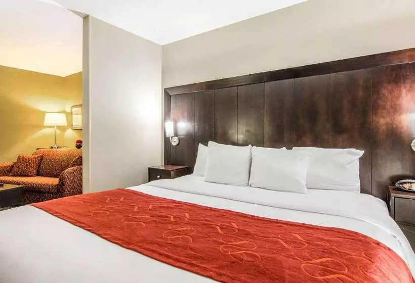 キングサイズベッドのスイートルーム, Comfort Suites Bentonville  Rogers
