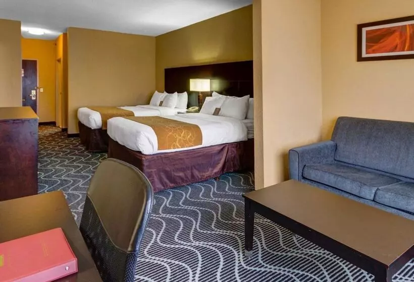 Sviitti, Comfort Suites Lake Ray Hubbard