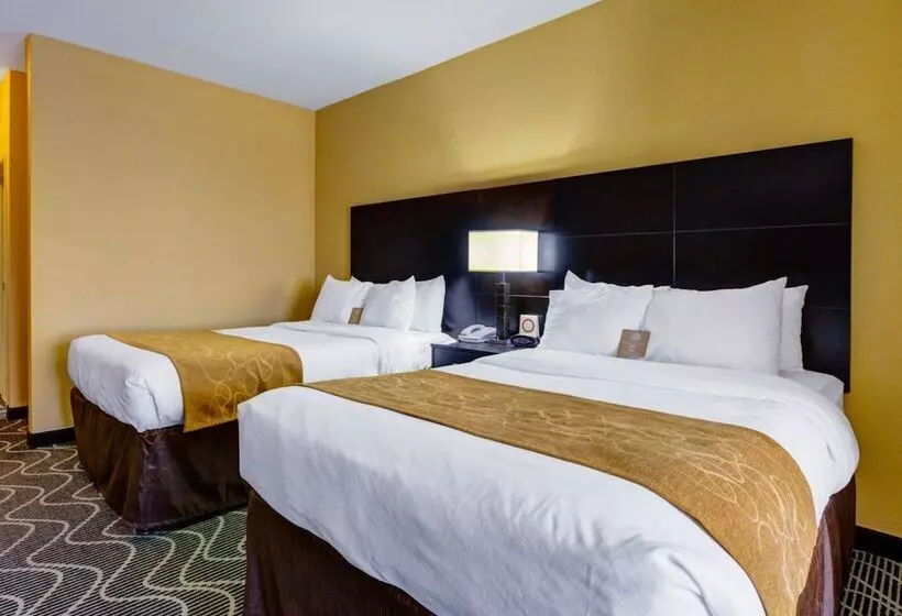 Sviitti, Comfort Suites Lake Ray Hubbard