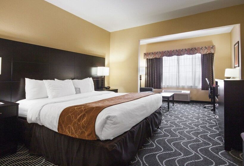 スイート, Comfort Suites Lake Ray Hubbard