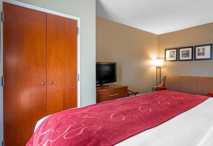 سوئیت با تخت بزرگ, Comfort Suites North
