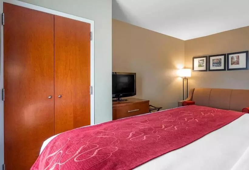 سوئیت با تخت بزرگ, Comfort Suites North