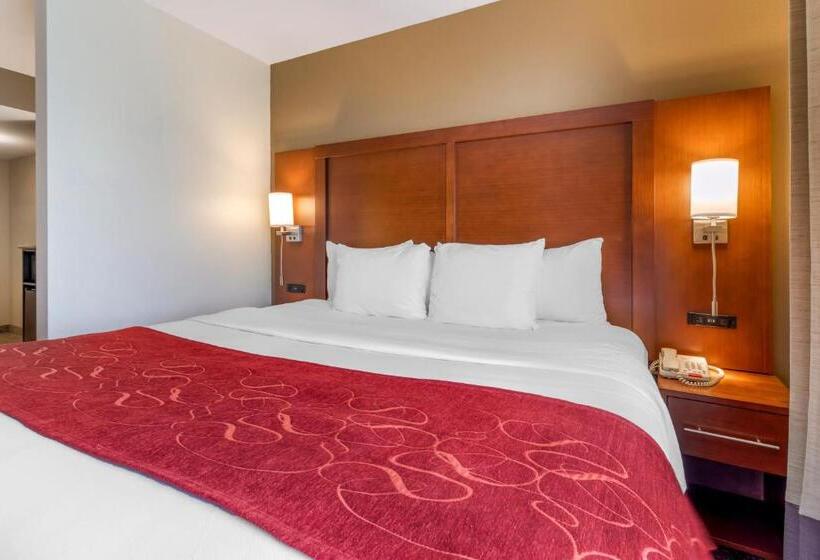 سوئیت با تخت بزرگ, Comfort Suites North