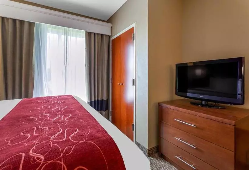 Sviitti King-vuode, Comfort Suites North