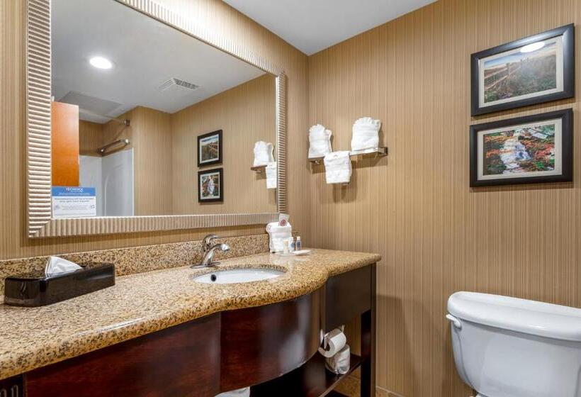 מיטת קינג בסוויטה, Comfort Suites North