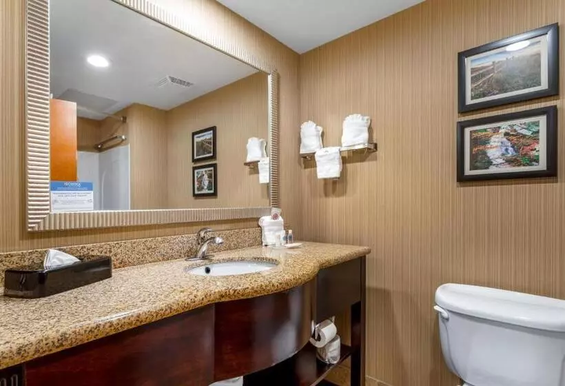 سوئیت با تخت بزرگ, Comfort Suites North