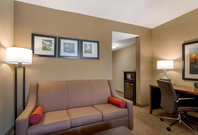 Sviitti King-vuode, Comfort Suites North
