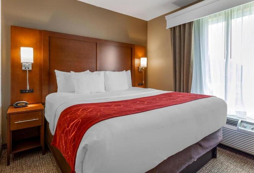 سوئیت با تخت بزرگ, Comfort Suites North