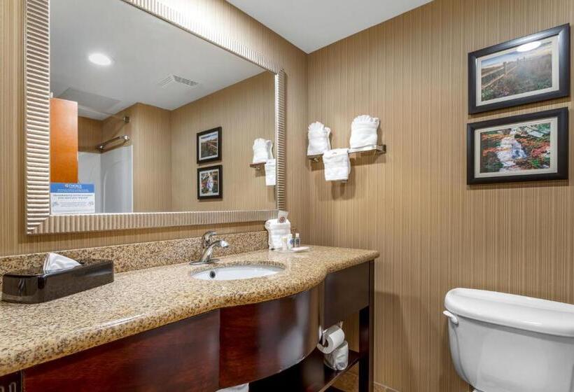 سوییت, Comfort Suites North