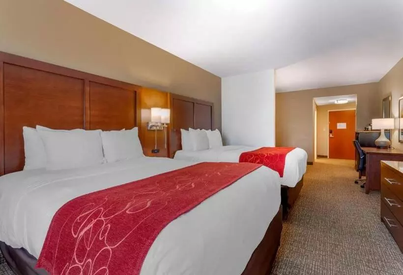 سوییت, Comfort Suites North