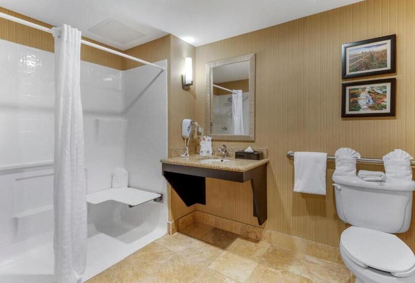 سوئیت برای معلولان, Comfort Suites North