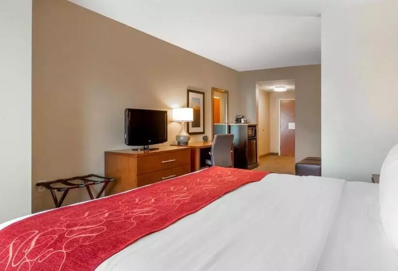 Suite Adapted for people with reduced mobility