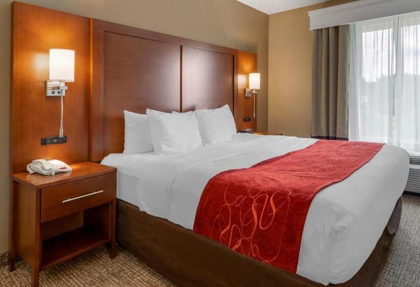 سوئیت برای معلولان, Comfort Suites North