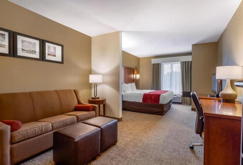 סוויטה מותאמת לאדם עם מוגבלויות, Comfort Suites North