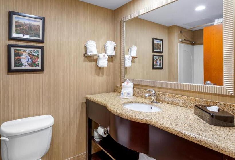 سوییت, Comfort Suites North