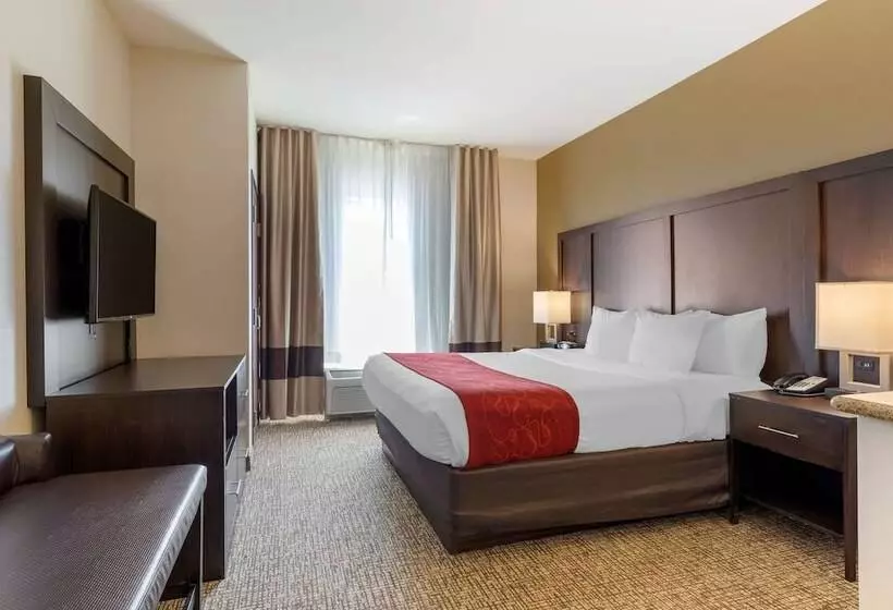 スイート, Comfort Suites Ontario Airport Convention Center