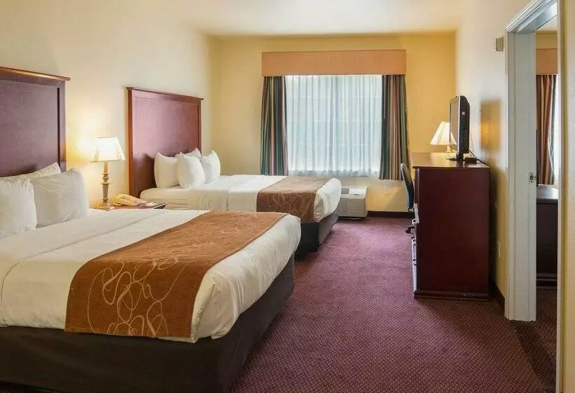 身障者適用スイートルーム, Comfort Suites Texarkana Texas