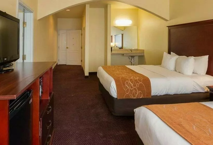 身障者適用スイートルーム, Comfort Suites Texarkana Texas