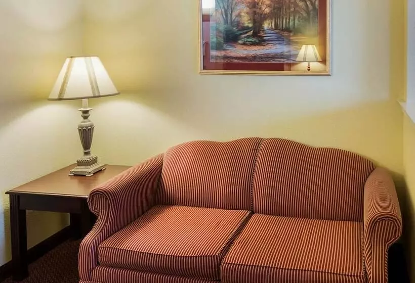 身障者適用スイートルーム, Comfort Suites Texarkana Texas