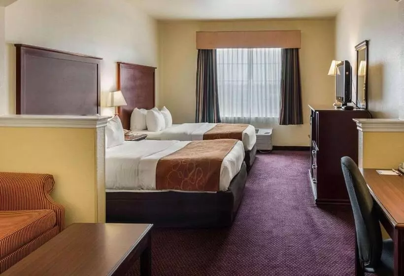 スイート, Comfort Suites Texarkana Texas