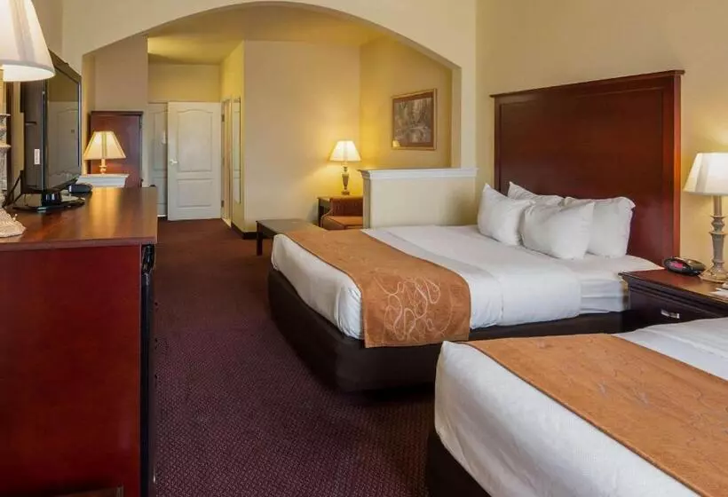 スイート, Comfort Suites Texarkana Texas