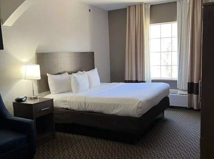 身障者適用スイートルーム, Comfort Suites Texarkana Texas