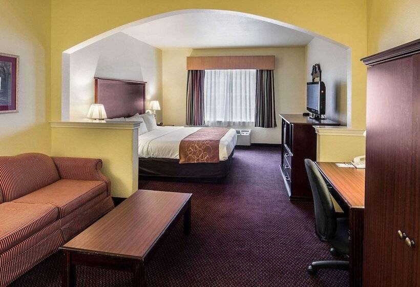 سوئیت برای معلولان, Comfort Suites Texarkana Texas