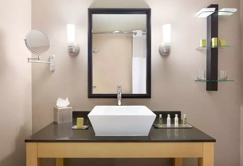 سوئیت با تخت بزرگ, Doubletree By Hilton Hotel Oklahoma City Airport