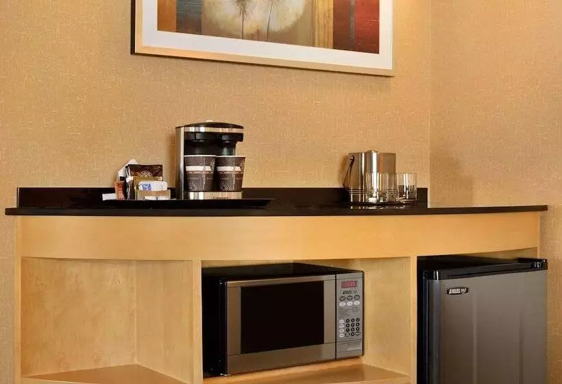 سوئیت با تخت بزرگ, Doubletree By Hilton Hotel Oklahoma City Airport