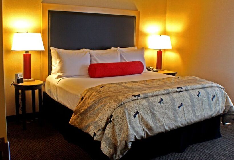 Люкс Кровать Кинг, Doubletree By Hilton Hotel Oklahoma City Airport