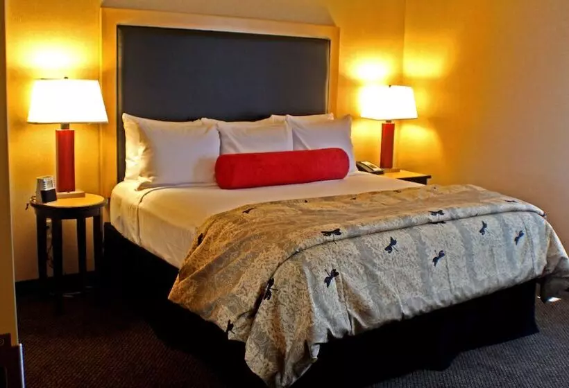 اتاق استاندارد با 2 تخت دوبل, Doubletree By Hilton Hotel Oklahoma City Airport