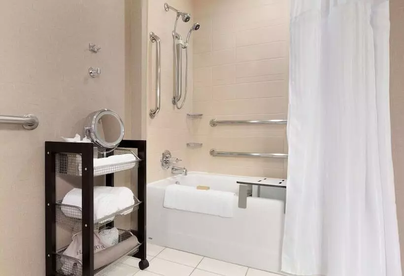 اتاق استاندارد با تخت بزرگ برای معلولان, Doubletree By Hilton Hotel Oklahoma City Airport