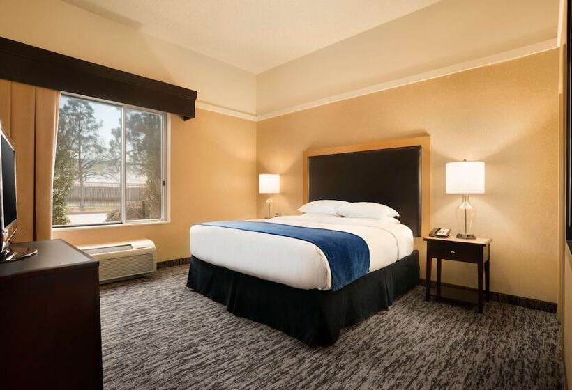 Номер Стандарт Кровать Кинг Адаптированный для Инвалидов, Doubletree By Hilton Hotel Oklahoma City Airport