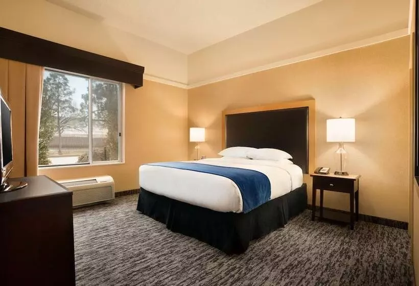 اتاق استاندارد با تخت بزرگ برای معلولان, Doubletree By Hilton Hotel Oklahoma City Airport