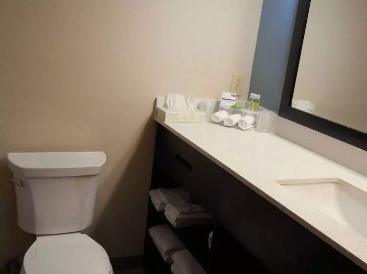 スイート, Holiday Inn Express & Suites Carmel North – Westfield, An Ihg