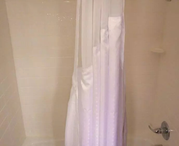 スタンダードルーム, Holiday Inn Express & Suites Carmel North – Westfield, An Ihg