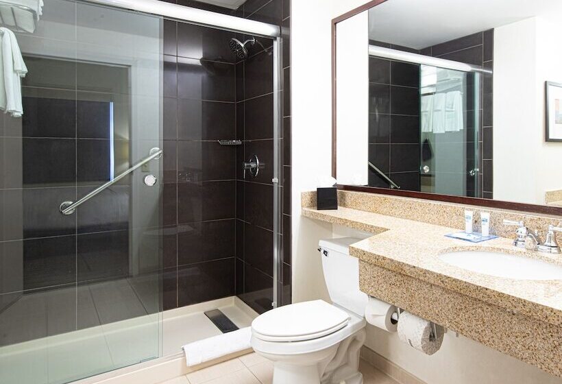 스위트, Hyatt House Chicago Schaumburg